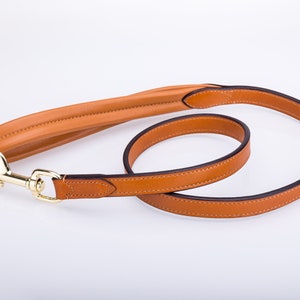 Pear Tannery Flat Leather Dog Lead With Soft Padded Handle 3/4"