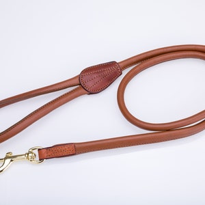May include: A brown leather dog leash with a gold metal clasp and ring. The leash has a stitched leather handle.