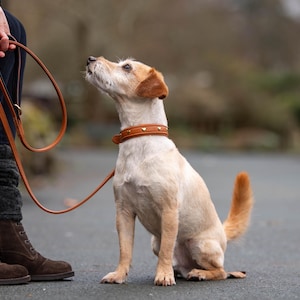 Hermès dog collar - Etsy France