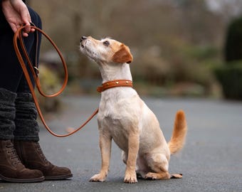 Pear Tannery Super Soft Heart Leather Dog Collar