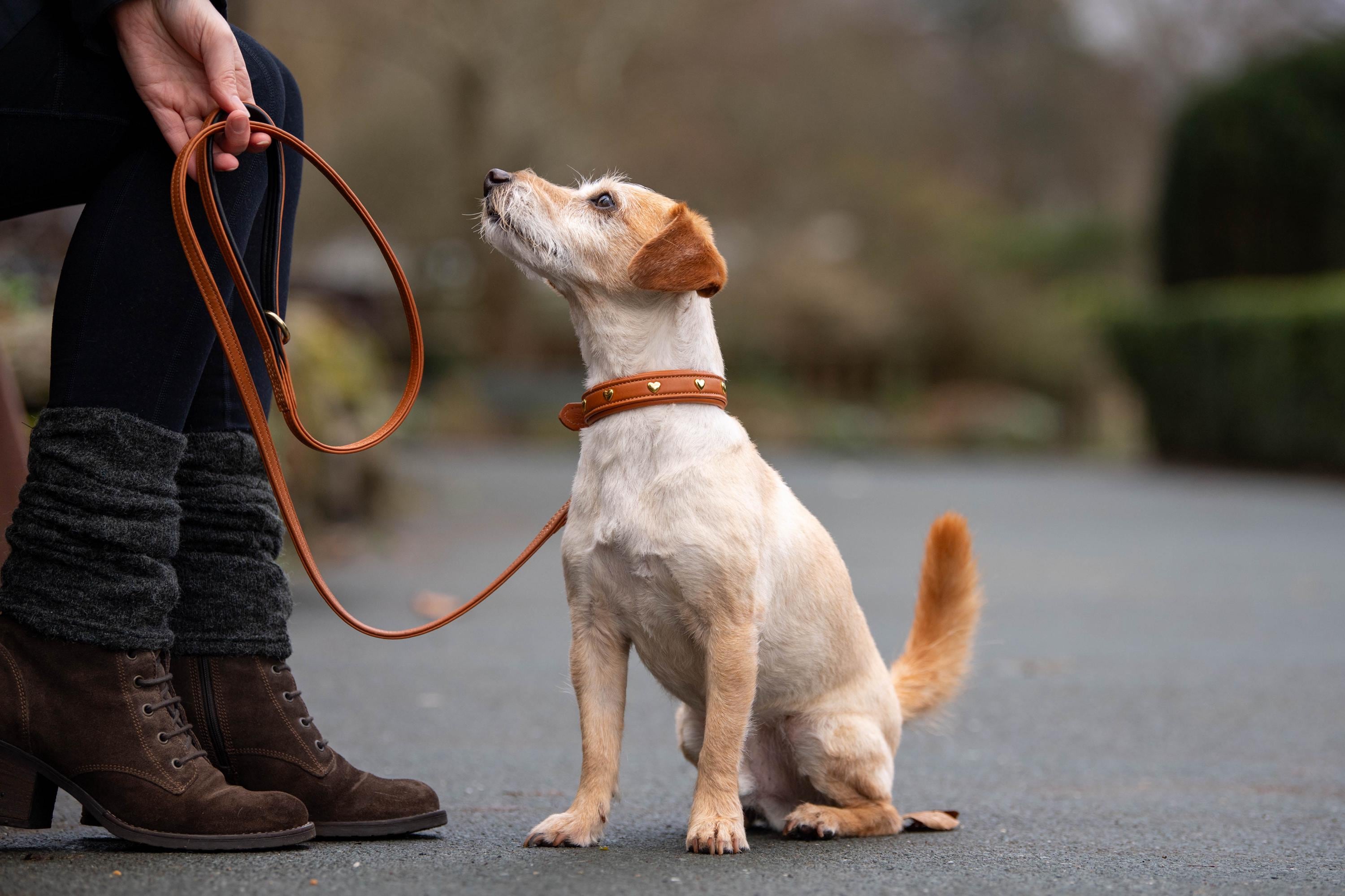 Hermès dog - Etsy France