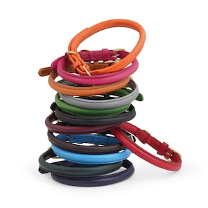 Peut inclure: Une pile de colliers de chien en cuir de différentes couleurs, dans des nuances de rouge, orange, marron, vert, bleu et violet. Les colliers sont disposés en cercle, le collier du haut étant orange et le collier du bas étant violet.