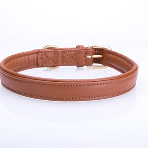 Pear Tannery Soft Padded Flat Leather Dog Collar - Etsy UK