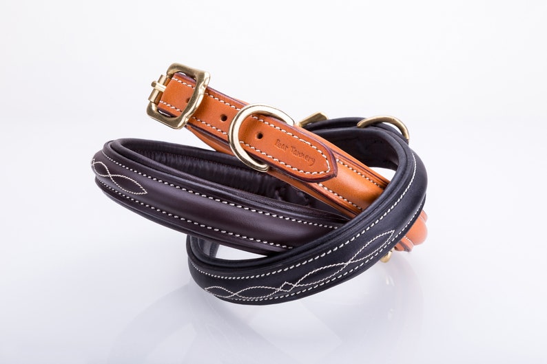 Pear Tannery Fancy Stitched Padded Leather Dog Collar Etsy