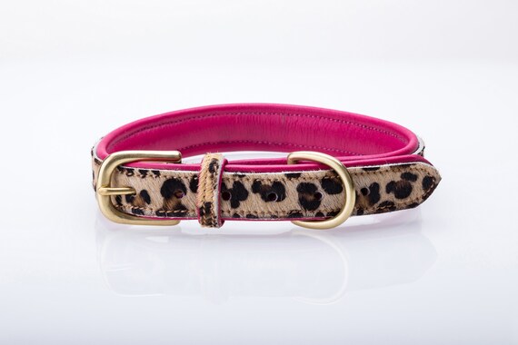 Flat leather dog clearance collar