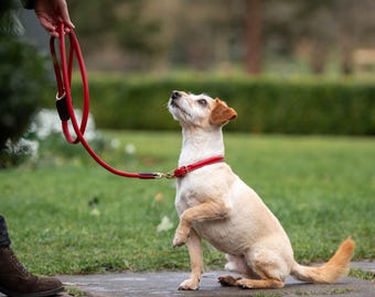 Pear Tannery Super Soft Rolled Leather Dog Collar