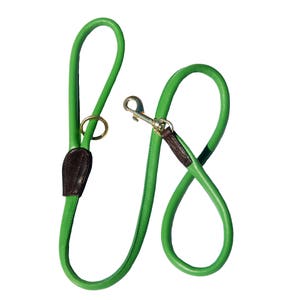 May include: A green leather dog leash with a brown leather handle and a gold metal clip.