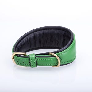 Pu&ograve; includere: Un collare per cani in pelle verde con interno imbottito nero. Il collare presenta una fibbia color oro e un anello a D abbinato. Progettato per comfort e stile.