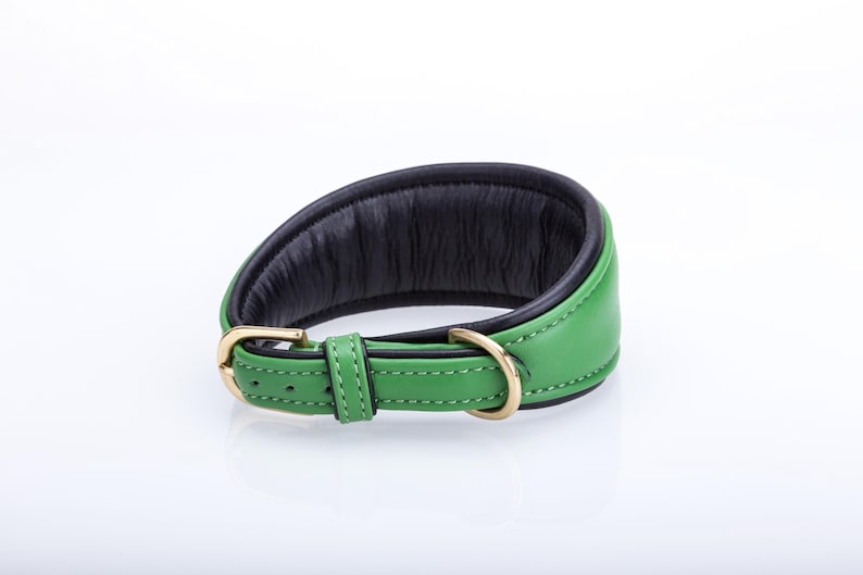 Pu&ograve; includere: Un collare per cani in pelle verde con interno imbottito nero. Il collare presenta una fibbia color oro e un anello a D abbinato. Progettato per comfort e stile.