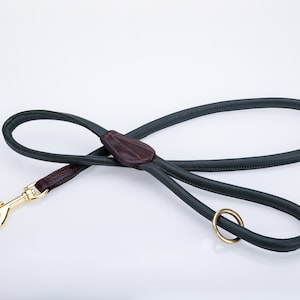 May include: A dark green leather dog leash with a brown leather handle and a gold metal clip.