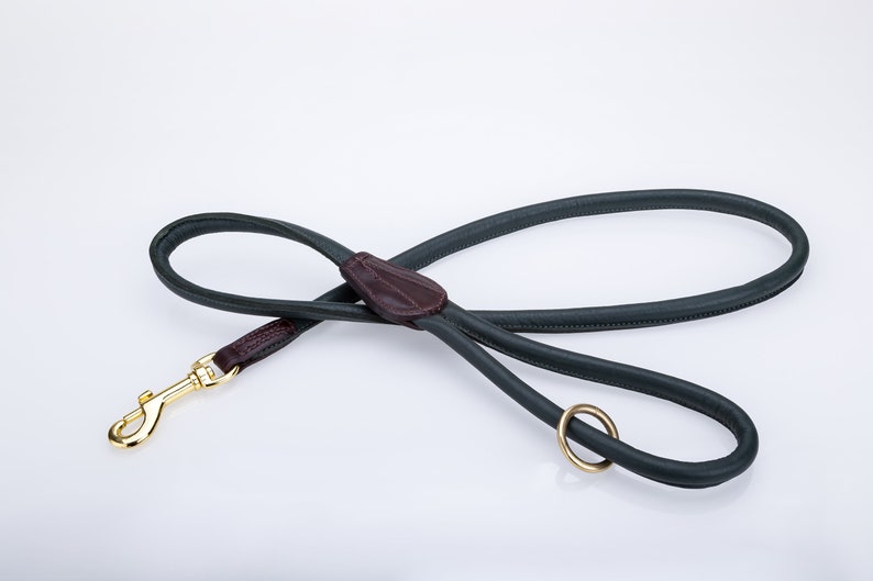 May include: A dark green leather dog leash with a brown leather handle and a gold metal clip.