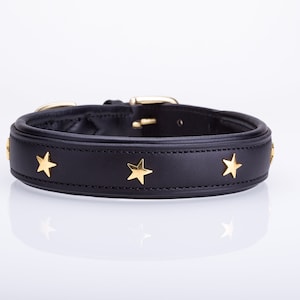Pear Tannery Padded Leather Dog Collar With Star image 6