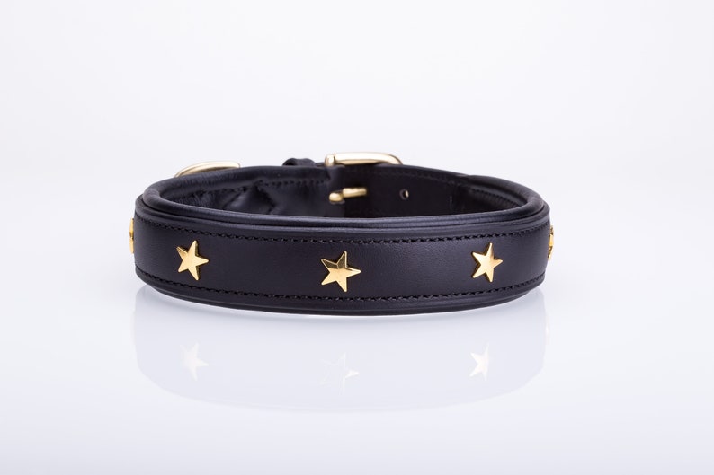 Pear Tannery Padded Leather Dog Collar With Star image 6