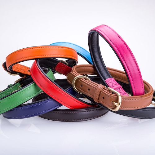 Pear Tannery Soft Padded Flat Leather Dog Collar Etsy UK