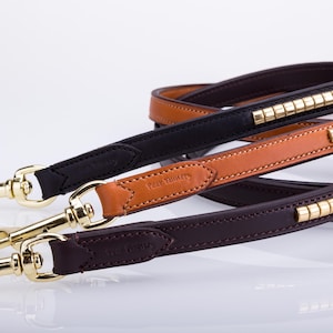 May include: Three leather dog leashes with gold accents. The leashes are brown, tan, and black. Each leash has a gold metal clasp.