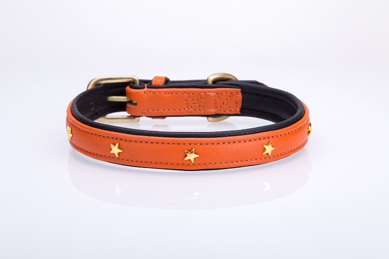 Pear Tannery Soft Padded Flat Leather Dog Collar Star Etsy UK