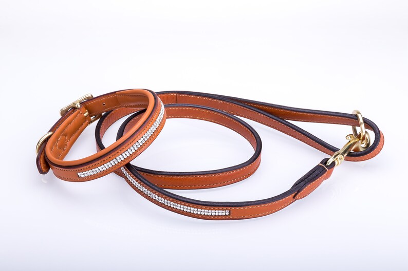 Pear Tannery Swarovski Diamonds Leather Dog Lead With Brass Etsy UK