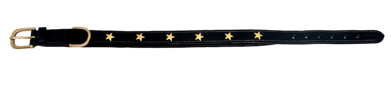 Pear Tannery Padded Leather Dog Collar With Star image 10