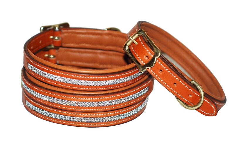 Pear Tannery Swarovski Diamond Padded Leather Dog Collar Etsy