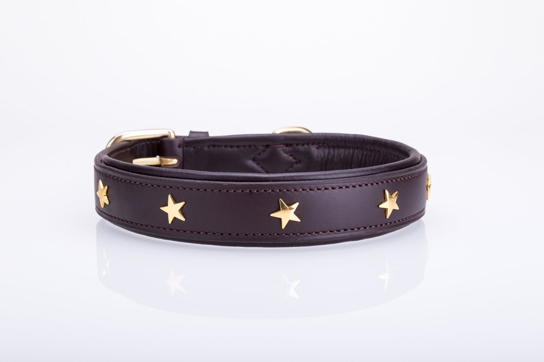 Pear Tannery Padded Leather Dog Collar With Star image 5
