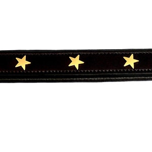 Pear Tannery Padded Leather Dog Collar With Star image 8