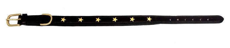 Pear Tannery Padded Leather Dog Collar With Star image 8