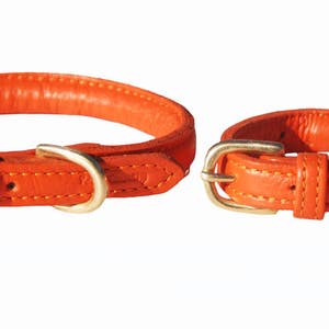 Pear Tannery Super Soft Rolled Leather Dog Collar image 4