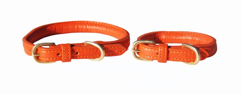 Pear Tannery Super Soft Rolled Leather Dog Collar image 4