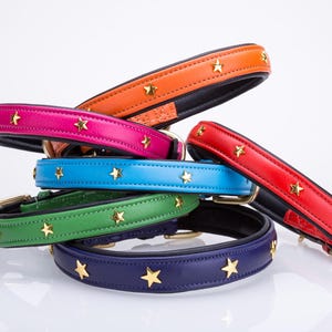 Collar para perros de cuero plano, acolchado y suave de Pear Tannery - Estrella
