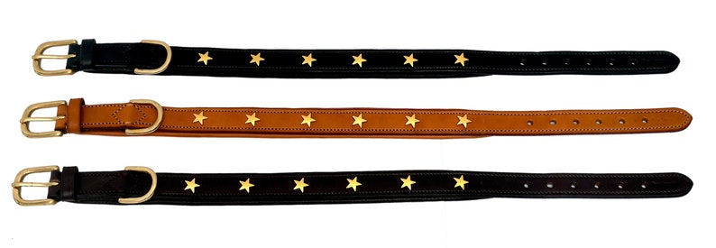 Pear Tannery Padded Leather Dog Collar With Star image 7