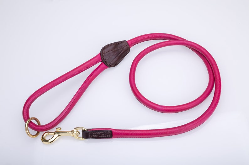 May include: A pink leather dog leash with a brown leather handle and a gold metal clip.