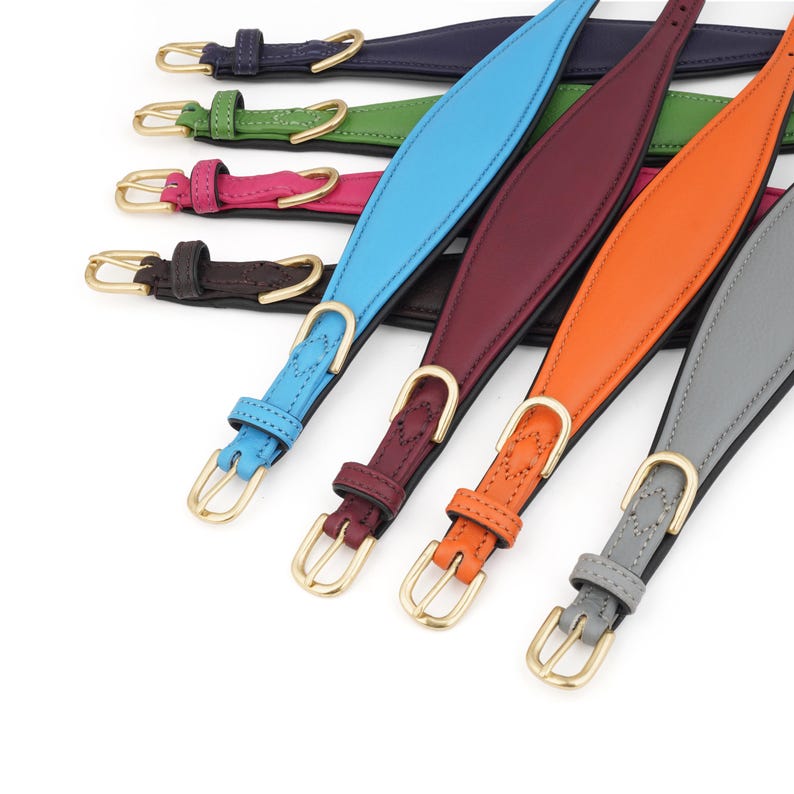 Pu&ograve; includere: Una collezione di collari per cani in pelle colorata, in varie tonalit&agrave;, tra cui blu, arancione e grigio. Ogni collare presenta una fibbia color oro e dettagli di cucitura. I collari sono disposti in diagonale.
