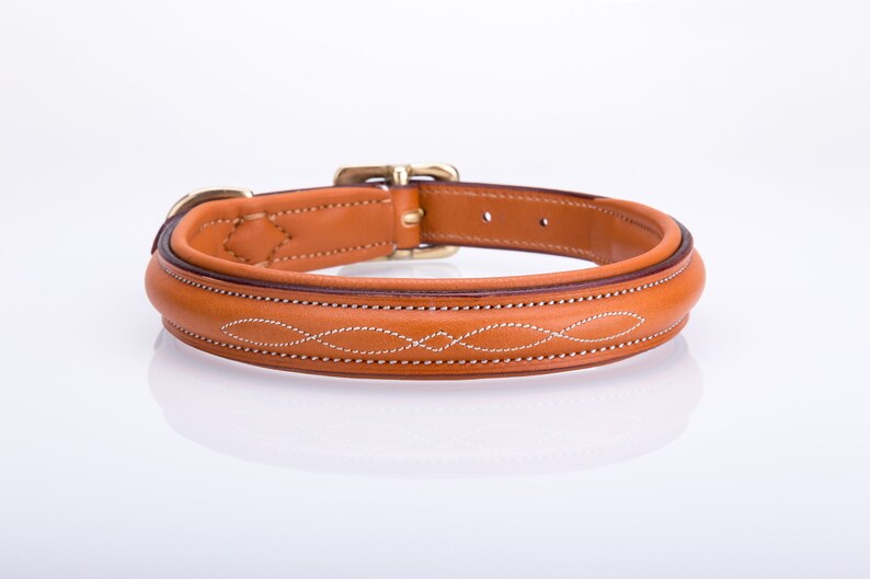 Pear Tannery Fancy Stitched Padded Leather Dog Collar Etsy UK