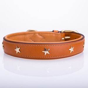 Pear Tannery Padded Leather Dog Collar With Star image 3