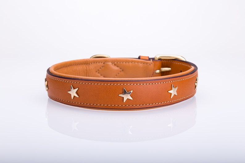 Pear Tannery Padded Leather Dog Collar With Star image 3