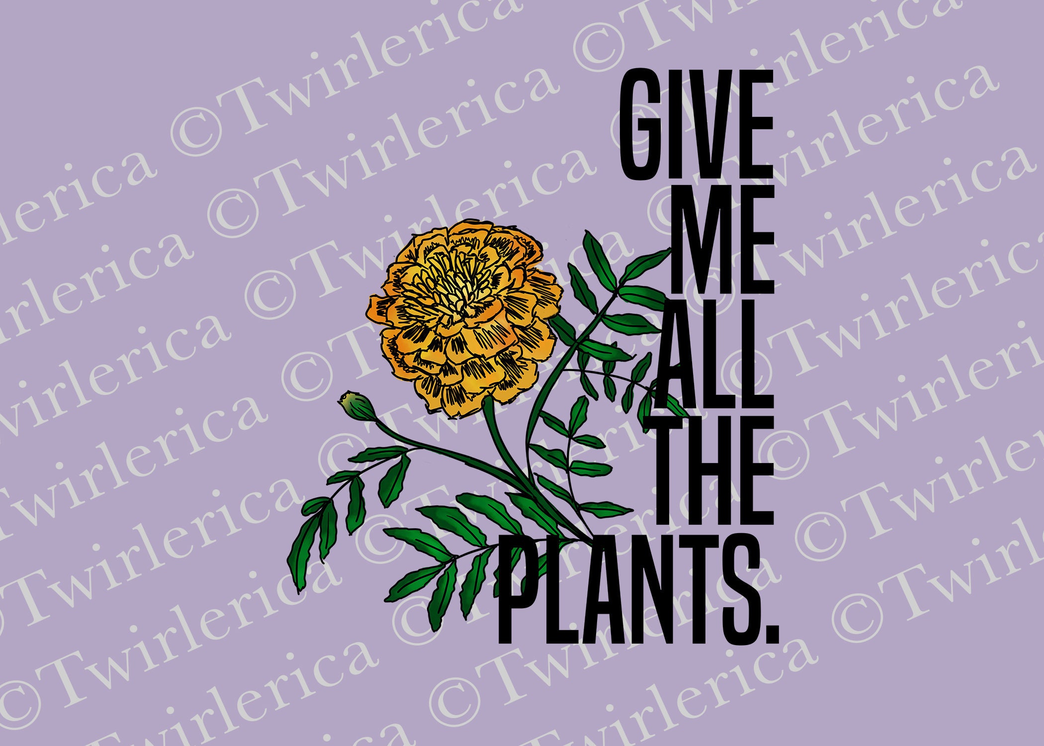 Give me the plant