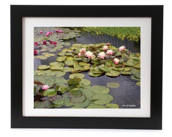 Lily pad instant download photograph