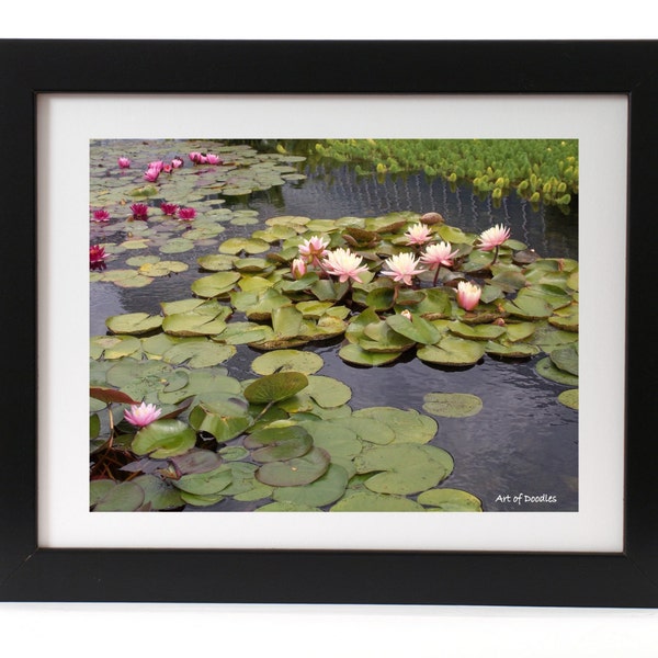 Lily pad instant download photograph