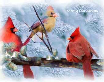Cardinal Holiday Postcard Set of 4
