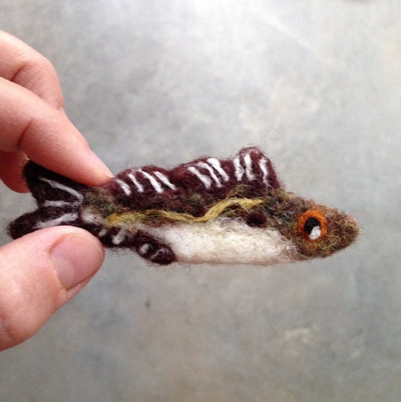 Felt Fish, Cod Fish, Needle Felted Ornament, Wool, Fishing Gift, Gifts for Fisherman image 2