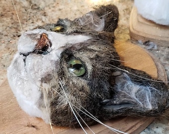 Faux taxidermy mounted cat heads