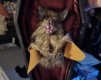 Smiling bat in Coffin