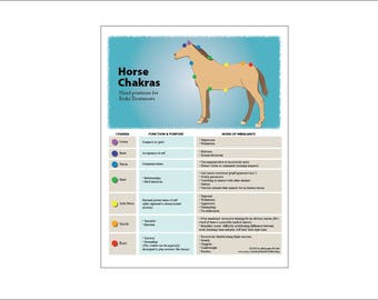 printable 7 chakra animal pet chart for reiki hand positions etsy