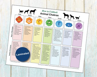 Horse Chakras Etsy