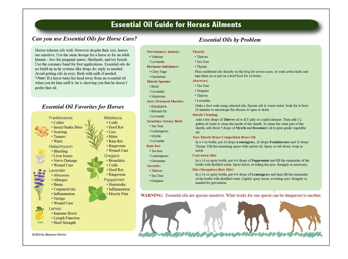 Printable Essential Oil Chart for Horses Etsy