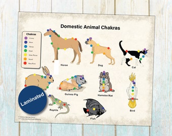 LAMINATED 7 Chakra Animal Poster with Cats Dogs Horses Rabbits Rodents Reptiles Fish