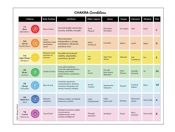 Chakra Organ Chart