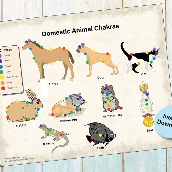 Dogs Chart Diagram Etsy Canada