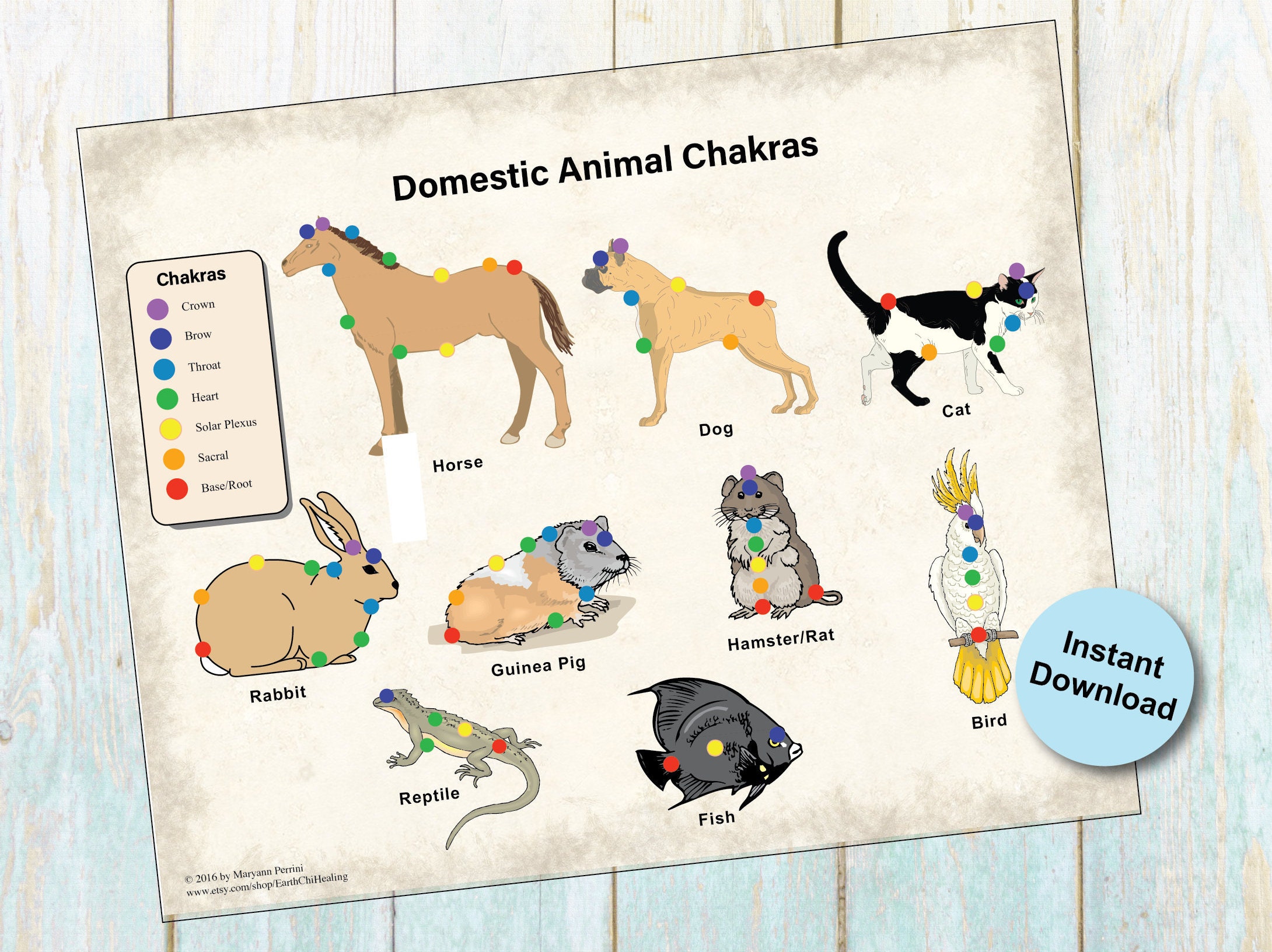 Printable 7 Chakra Animal Pet Chart for Reiki Hand Positions - Etsy