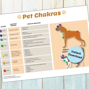 Afdrukbare tabel met doeleinden en onevenwichtigheden van de honden- en kattenchakra's